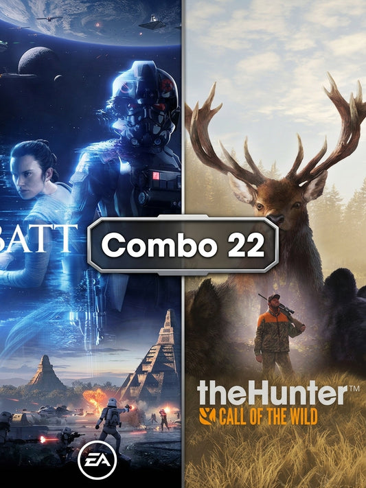 Combo 22